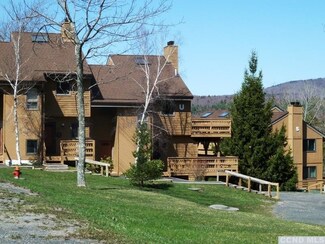 72 Hunter Dr Unit L-8, Lanesville, NY 12450