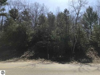 0 Lake Ann Rd Unit 27-29 1846125, Lake Ann, MI 49650