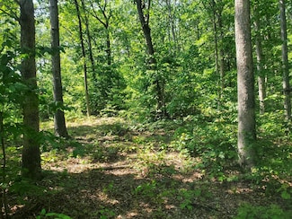 0 Harbor View Dr, Nile Township, OH 45684