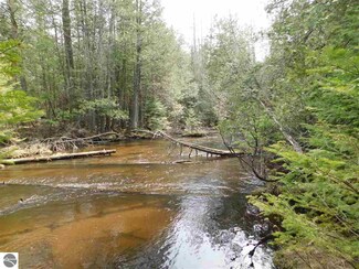 000 Snowshoe Ln NW Unit J, Rapid City, MI 49676