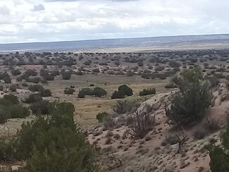 40 acres County Road 7396, Sanders, AZ 86512