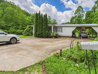 207 Amber Ln, Ulysses, KY 41264