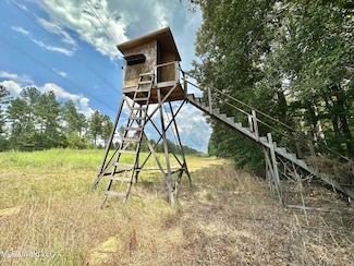 3 Dry Grove Rd, Terry, MS 39170