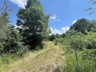 Lot #2 Cr 218 Rd, Anderson, TX 77830