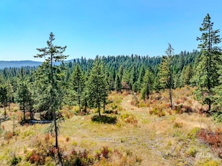 0 Starview Lane Parcel 1, Princeton, ID 83857