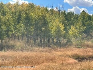 TBD County Road 11, Craig, CO 81625