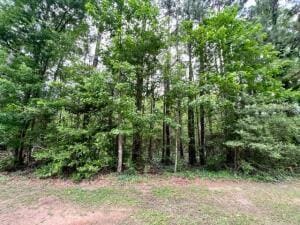 0 Tbd Jewell McKellar Rd, Sugartown, LA 70662