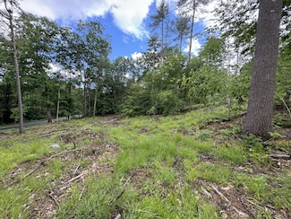 MR-2 L53A Cape Rd, Limington, ME 04049