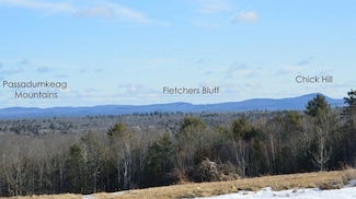 Lot # 30 Fox Ln, Eddington, ME 04428