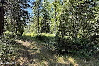 NNA Flamingo, Sandpoint, ID 83864