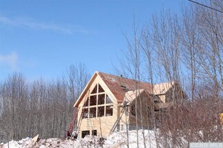0 Sky Hill Rd Unit 98325, Windham, NY 12496