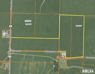 0 Walbaum Rd, Cartwright Township, IL 62677