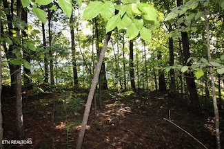 523 Rudd Hollow Rd, Townsend, TN 37882