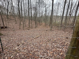 120.62 Browns Hollow Rd, Tracy City, TN 37387