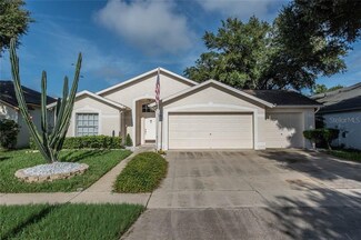 1707 Bell Ranch St, Brandon, FL 33511