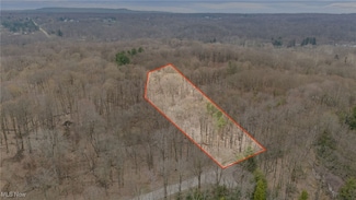 S/L 1 Robinson Rd, Chardon, OH 44024