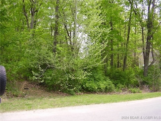 9 Shadow Oaks Rd, Camdenton, MO 65020