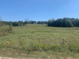 000 Rail Hollow Ranch Lot 7, Theodosia, MO 65761