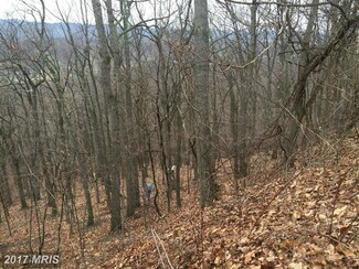 0 Piney Ridge Rd Unit 1002577732, Huntingdon, PA 16652