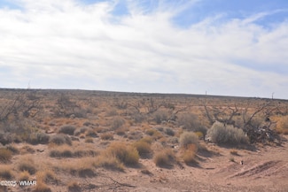 8224 Charolais Trail, Snowflake, AZ 85937