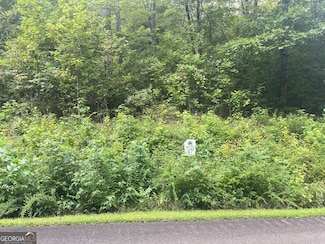 LOT 17 Staurolite Mountain Rd, Blue Ridge, GA 30513