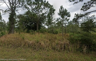 5648 Virtudes St, Sebring, FL 33872