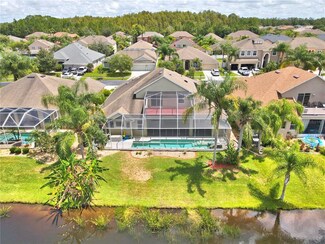 26810 Shoregrass Dr, Wesley Chapel, FL 33544