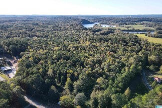 3757 Kirkseys Bend Unit 11.47 ac., Ohatchee, AL 36271