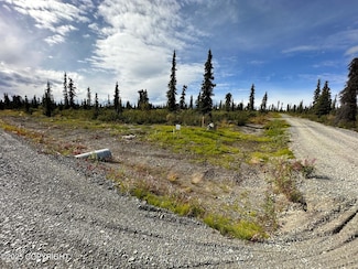 49486 S Timberwolf Rd, Chickaloon, AK 99674