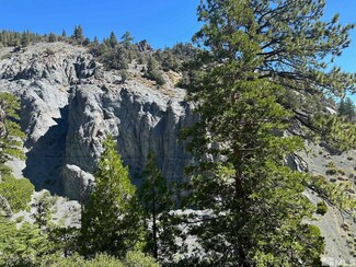 APN 004080001000, Markleeville, Ca, CA 96120