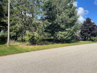 4623 N Lo Dr, New Era, MI 49446