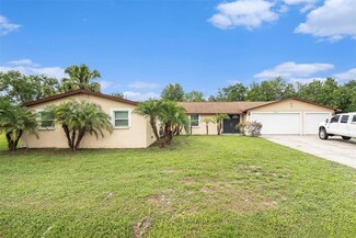 9220 Mcintosh Rd, Dover, FL 33527