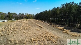 0 Woodpecker Trail, Newington, GA 30446