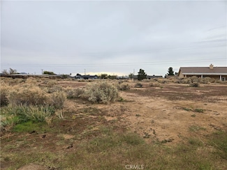0 Manzanita Ave Unit CV25260617, California City, CA 93505