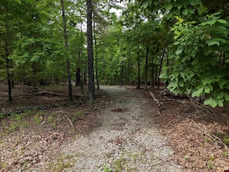 325 Fish & Fiddle Rd, Mountain Home, AR 72653