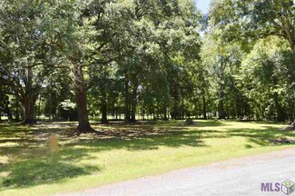 10413 Maranatha Acres, Saint Amant, LA 70774