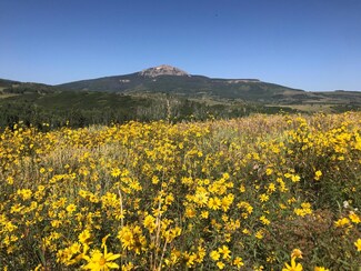 0 Wilson Mesa Ranch Cir Unit Tract 47, Placerville, CO 81430
