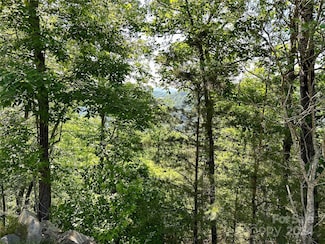 387 Wild River Run Unit 6, Marshall, NC 28753