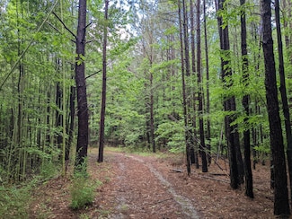 Lockhart Hwy, Union, SC 29379
