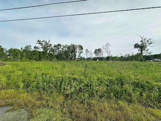 42455 Churchpoint Rd, Gonzales, LA 70737
