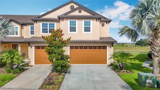 11291 Cay Spruce Way, San Antonio, FL 33576
