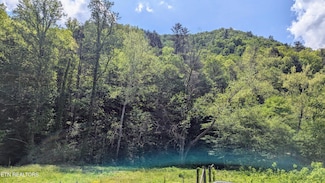 0 Carrs Creek (38 Acres) Rd, Townsend, TN 37882