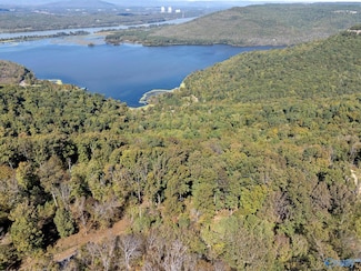 Lot 3 County Road 224, Dutton, AL 35744