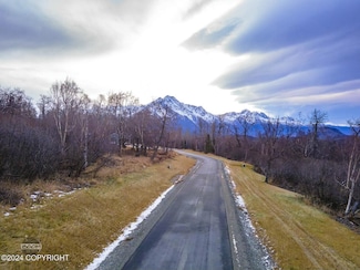 443 N Hale Cir, Butte, AK 99645