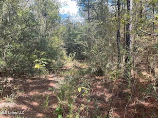 Nhn Betsy Branch Rd, Lucedale, MS 39452