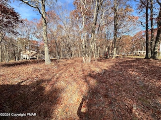 123 Bear Dr, Dingmans Fry, PA 18328