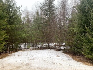 0 Pleasant Valley Rd, Hillman, MI 49746