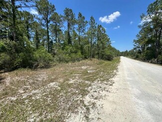 TBD Otter Dr Unit LOT 44, Webster, FL 33597