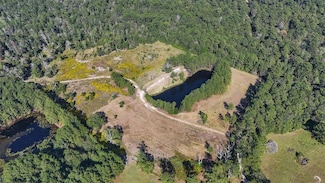 1615 Bob Williams Rd, Thicket, TX 77374