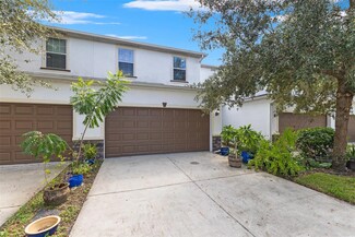 8634 Miramar Terrace Cir, Temple Terrace, FL 33637